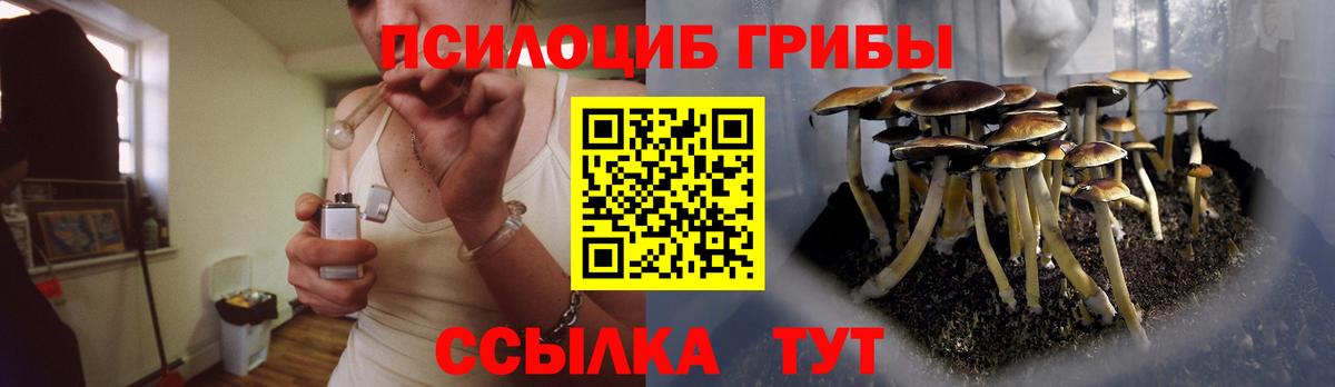 Псилоцибиновые грибы MAGIC MUSHROOMS  Вход с VPN  Псилоцибиновые грибы Cubensis  Шарыпово 